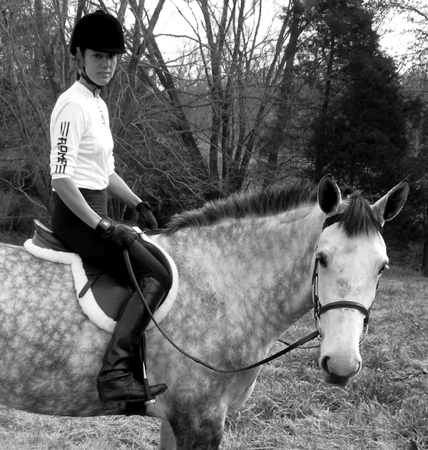 English rider on a dapple grey horse