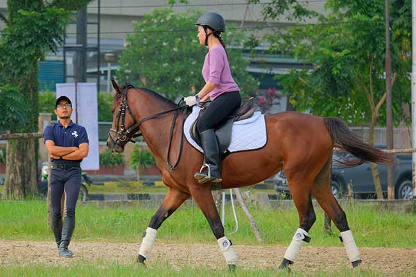 Riding coaches working with a horse and rider