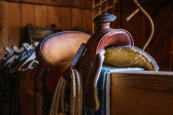 Roping saddle and rope