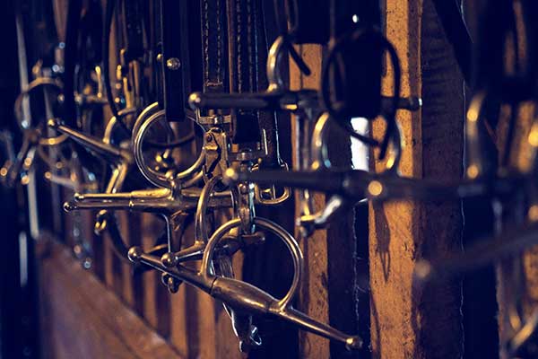 Row of leather bridles with full-cheek snaffle bits